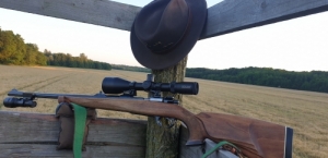 Mauser M98