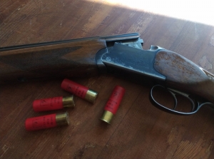 Baikal IZS 12