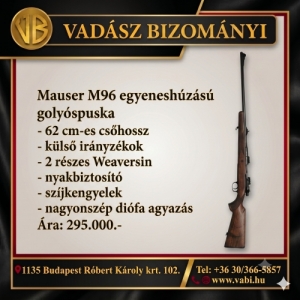 Mauser M96