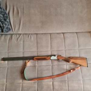 Beretta S 55 