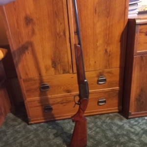 Izs 18