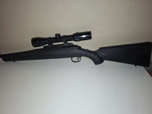 Ruger American 308 win.