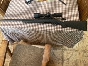 American Ruger 