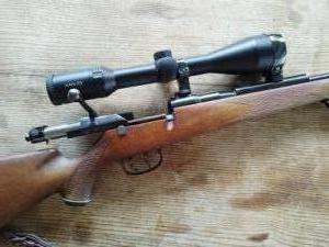Mauser Mod-66 (.308win)