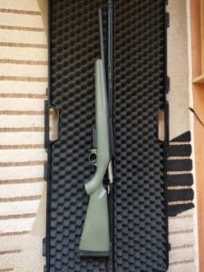 Ruger American Predator