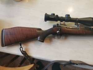 Sauer weatherby 