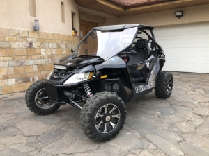 Articcat Wildcat 1000