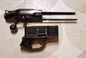 Blaser R8 Ruthenium zr+elst