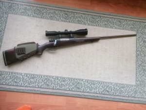 Osztrk Mauser