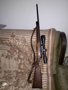 Steyr Manlicher SM 12