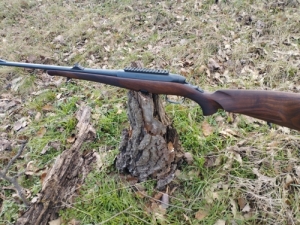 Steyr SM12