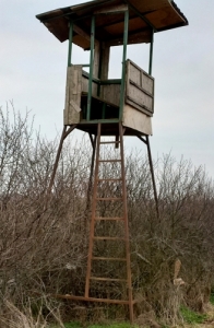Vadszles