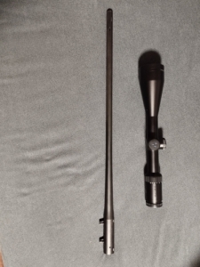 Blaser R93 