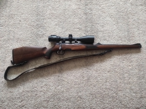 Steyr Mannlicher L 243 stucni
