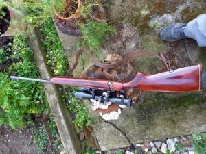 TOZ-8