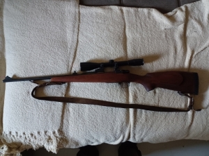 Zastava 223 Remington