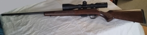 CZ 457 American .17 HMR