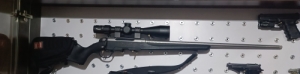Steyr Safebolt 
