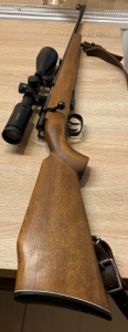 Anschtz .22 hornet 