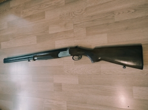 Rizzini
