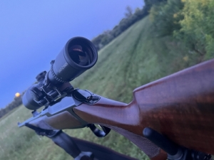 Sauer 202 8X68