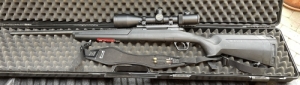 Savage Axis .243 win