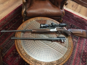 gavallr 30R Blaser