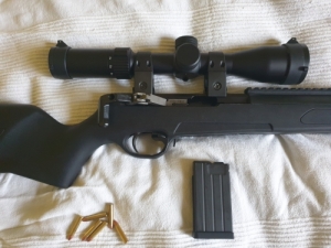 Steyr 22 WMR
