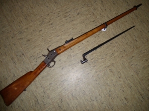 M1867/89 Rolling block 