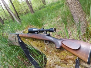 Obersdorf mauser