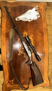 IZS-18