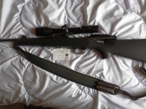 R93, 9.3x62