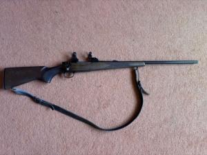 CZ 550