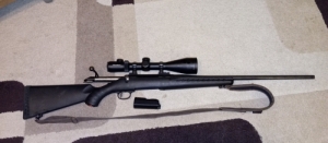 Ruger American 