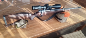 Steyr Sm12