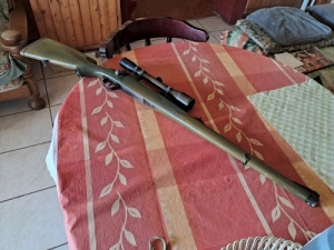 243-as mauser