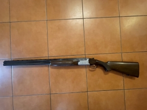Sabatti Falcon