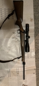 Sauer 100
