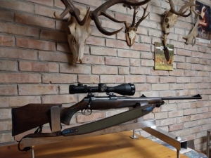 Sauer 202