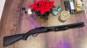 Winchester sxp defender