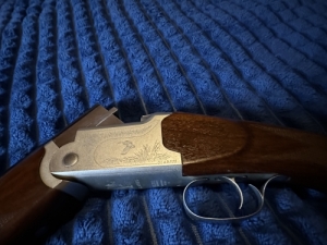 Gladius 12/76