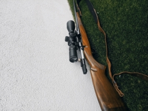 Cz 550