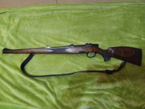 Steyr