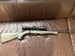 Rossi 17HMR
