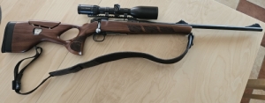 Mauser M12