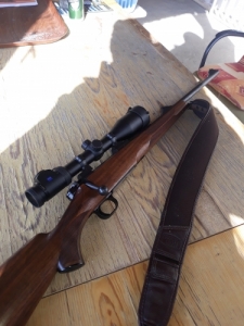Mauser M12