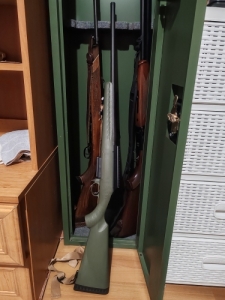 Ruger amerikan 