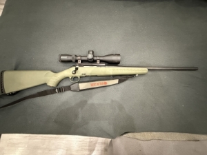 American Ruger 223