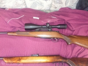 Cz 550 standard 30.06, es Toz 0,22LR kisgolyos 