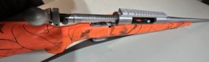 Savage, 114 American Classic 30-06